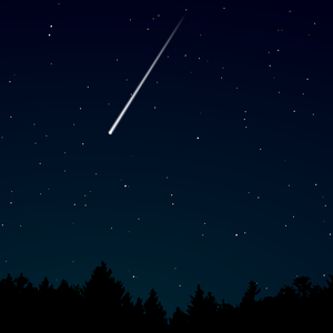 五十路老女人毛茸茸免费
