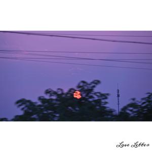 五十路老女人毛茸茸免费
