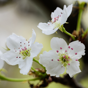 五十路老女人毛茸茸免费
